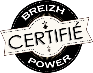 Logo Breizh Power